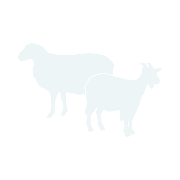 CONASA